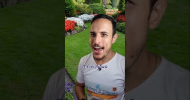 TEM UM DRAGÃO NA MINHA GARAGEM!