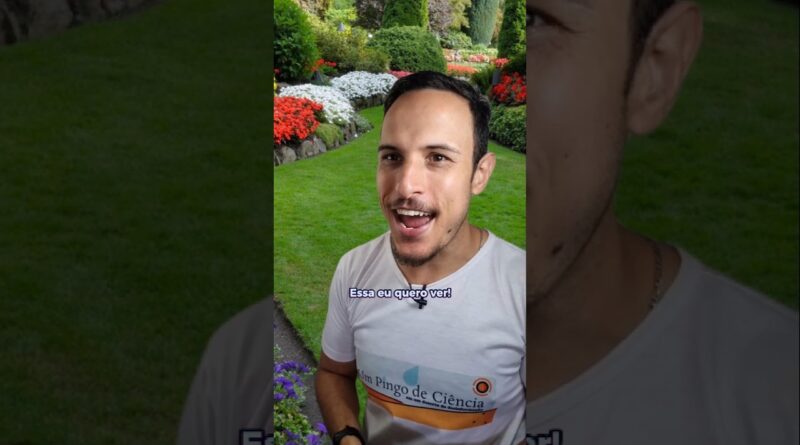 TEM UM DRAGÃO NA MINHA GARAGEM!