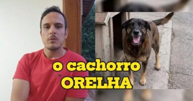 O que o caso do cachorro ORELHA diz sobre NÓS