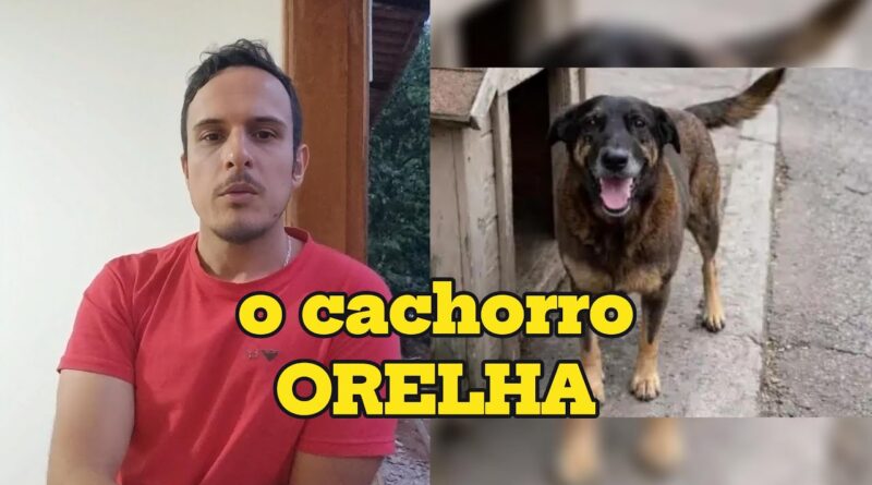 O que o caso do cachorro ORELHA diz sobre NÓS