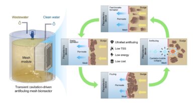 Esquema de controle de bioincrustação acionado por cavitação transitória usando um dispositivo piezoelétrico. Crédito: HKUST.