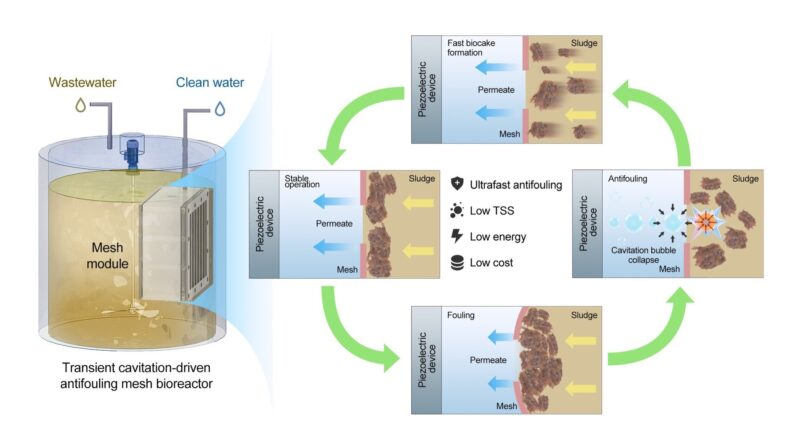 Esquema de controle de bioincrustação acionado por cavitação transitória usando um dispositivo piezoelétrico. Crédito: HKUST.