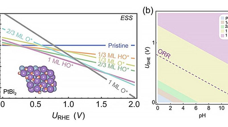Identificação do estado de superfície eletroquímico (ESS) de PtBi2 monocamada por um diagrama de Pourbaix de superfície baseado em DFT. Crédito: The Journal of Physical Chemistry Letters (2025). DOI: 10.1021/acs.jpclett.5c03589