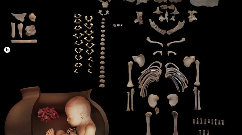 Ossos preservados do sepultamento L522.1: (a) ossos de ovicaprinos encontrados no interior do vaso funerário de L522.1; (b) reconstrução do sepultamento L522.1 (c). Crédito: Alirezazadeh e Bahranipoor, 2026.