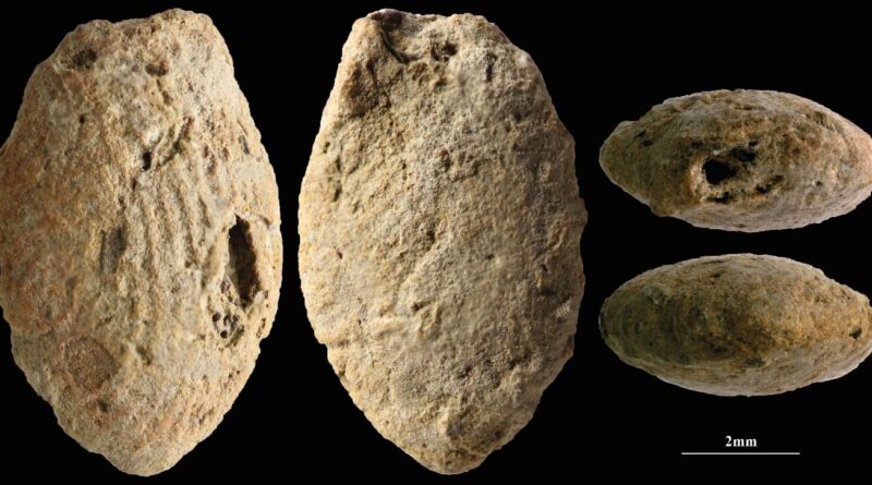 Uma conta de argila em forma de borboleta do período Natufiano Final em Eynan-Mallaha (Alto Vale do Jordão), colorida de vermelho com ocre e marcada com as impressões digitais da criança (cerca de 10 anos) que a moldou há 12.000 anos. Crédito: Laurent Davin