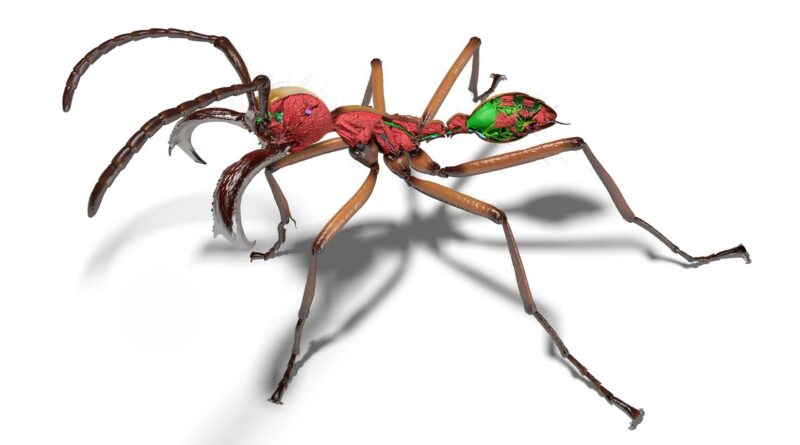 Um estudo publicado na revista Nature Methods apresenta uma nova abordagem de fenômica em larga escala capaz de produzir imagens tridimensionais extremamente detalhadas de formigas de diferentes regiões do planeta, criando uma biblioteca digital que permite explorar a anatomia desses insetos com um nível de precisão raramente alcançado em estudos de biodiversidade.