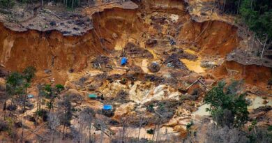 Pesquisa mostra que riqueza em recursos como petróleo, madeira ou minerais pode, em certas condições, enfraquecer instituições públicas e comprometer o desenvolvimento econômico de longo prazo.