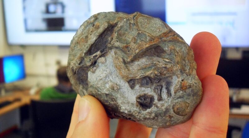 Ovo fotografado na sala de controle do ESRF, na França. Crédito: Professor Julien Benoit