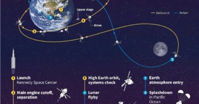 Infográfico mostrando um esquema da trajetória da missão Artemis II da NASA.