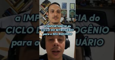 a IMPORTÂNCIA do CICLO do NITROGÊNIO para o SEU AQUÁRIO