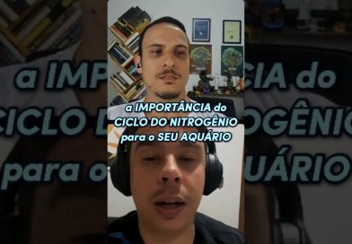 a IMPORTÂNCIA do CICLO do NITROGÊNIO para o SEU AQUÁRIO