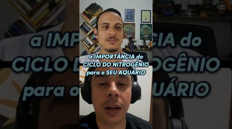 a IMPORTÂNCIA do CICLO do NITROGÊNIO para o SEU AQUÁRIO