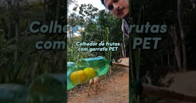 COLHEDOR DE FRUTAS com GARRAFA PET