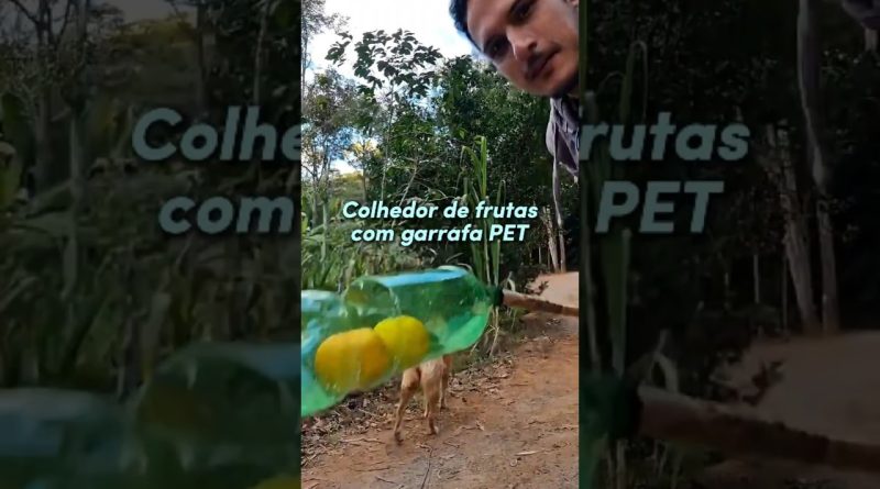 COLHEDOR DE FRUTAS com GARRAFA PET