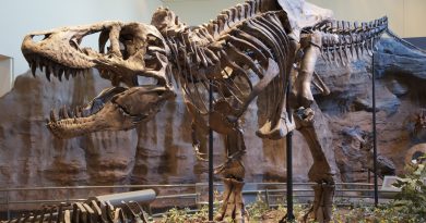 Nova hipótese explica por que o T. rex tinha braços tão curtos