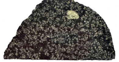 Meteorito raro revela evidência de um protoplaneta gigante nos primórdios do Sistema Solar