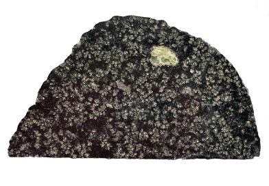 Meteorito raro revela evidência de um protoplaneta gigante nos primórdios do Sistema Solar