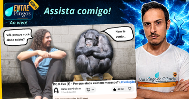 POR QUE AINDA EXISTEM MACACOS? + BÔNUS | Assistindo ao vídeo do @Pirulla25 | #EntrePingos 0006