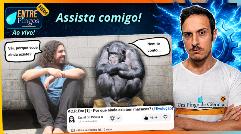 POR QUE AINDA EXISTEM MACACOS? + BÔNUS | Assistindo ao vídeo do @Pirulla25 | #EntrePingos 0006
