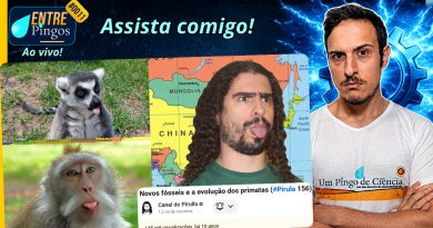 NOVOS FÓSSEIS E A EVOLUÇÃO DOS PRIMATAS | Assistindo ao vídeo do ‪@Pirulla25‬ | #EntrePingos 0011