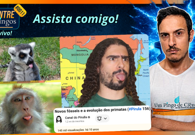 NOVOS FÓSSEIS E A EVOLUÇÃO DOS PRIMATAS | Assistindo ao vídeo do ‪@Pirulla25‬ | #EntrePingos 0011