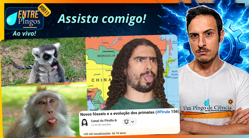 NOVOS FÓSSEIS E A EVOLUÇÃO DOS PRIMATAS | Assistindo ao vídeo do ‪@Pirulla25‬ | #EntrePingos 0011