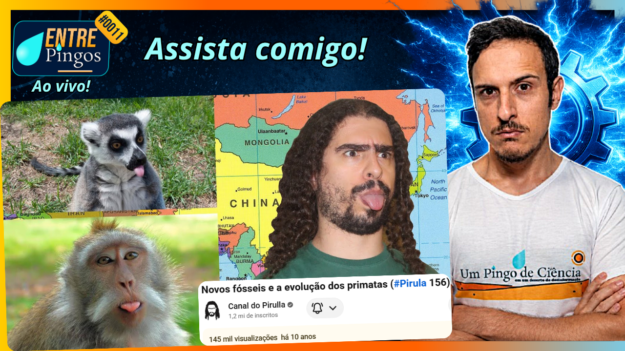 NOVOS FÓSSEIS E A EVOLUÇÃO DOS PRIMATAS | Assistindo ao vídeo do ‪@Pirulla25‬ | #EntrePingos 0011