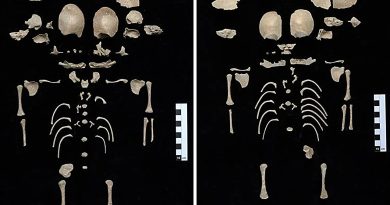Bebês da Antiguidade, possivelmente gêmeos, encontrados em latrina de 1.200 anos