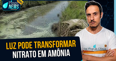 Um poluente pode virar matéria-prima com luz? | #PingoNews 0003