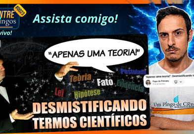 DESMISTIFICANDO TERMOS CIENTÍFICOS | Assistindo ao vídeo do ‪@papodeprimata‬ | #EntrePingos 0023