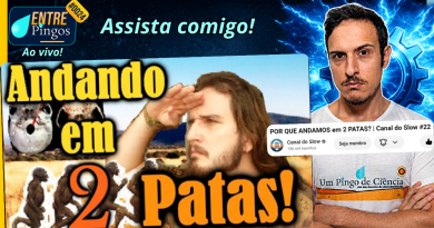 POR QUE ANDAMOS EM 2 PATAS? | Assistindo ao vídeo do @EstevaoSlow | #EntrePingos 0024