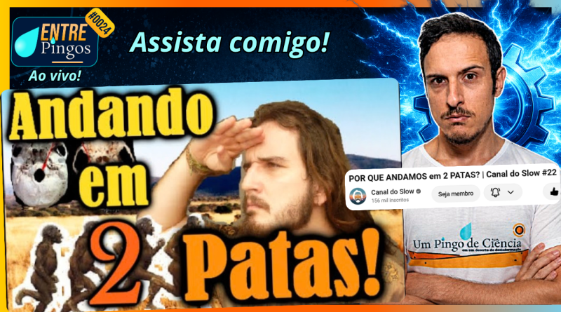 POR QUE ANDAMOS EM 2 PATAS? | Assistindo ao vídeo do @EstevaoSlow | #EntrePingos 0024
