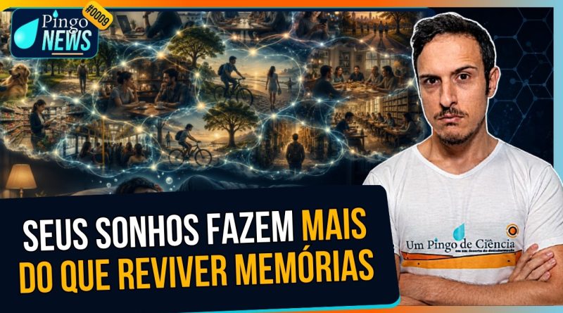 O que os sonhos revelam sobre a forma como o cérebro processa nossas experiências? | #PingoNews 0009