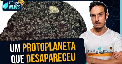 Um meteorito raro pode ter revelado a existência de um protoplaneta gigante? | #PingoNews 0012