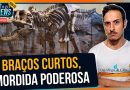 Por que o T. rex tinha braços tão curtos? | #PingoNews 0016
