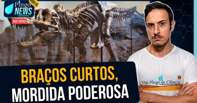 Por que o T. rex tinha braços tão curtos? | #PingoNews 0016