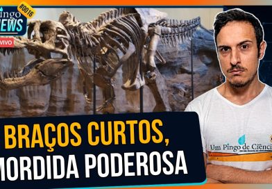 Por que o T. rex tinha braços tão curtos? | #PingoNews 0016