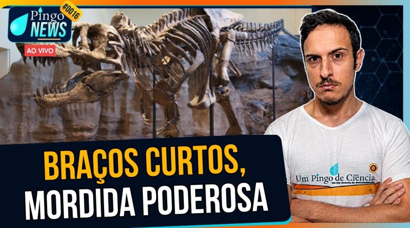 Por que o T. rex tinha braços tão curtos? | #PingoNews 0016